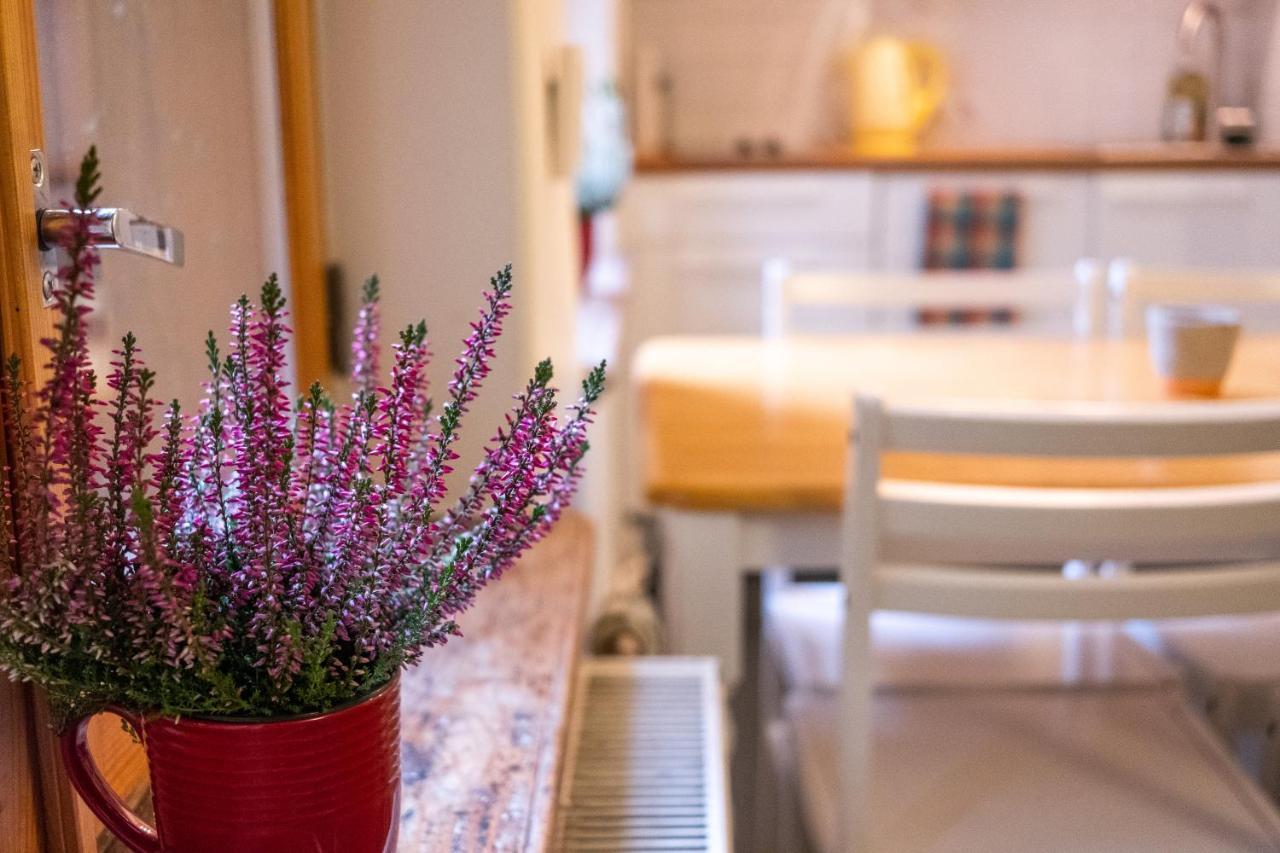 Dream Stay - Bright 2-Bedroom 2-Floor Old Town Apartment Tallinn Exteriör bild