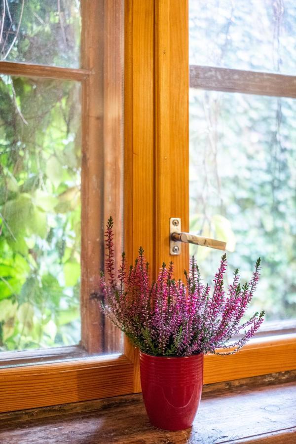 Dream Stay - Bright 2-Bedroom 2-Floor Old Town Apartment Tallinn Exteriör bild
